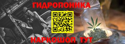 кокс Гатчина