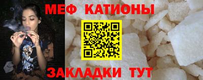 кокс Гатчина